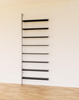 DVD Media Storage Shelves
