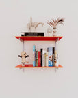 Wall Mounted Shelving Units - 2 Shelf Aluminum