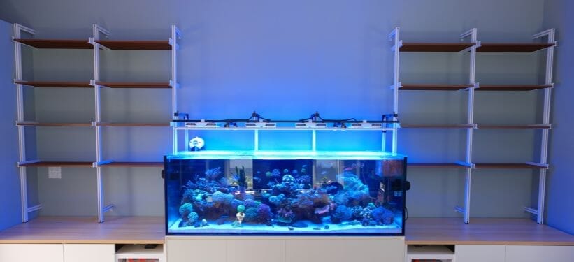 A Living Room Redefined: Modern Shelving® in Brian Wong’s Aquascape-Inspired Home