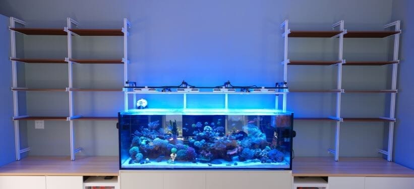 A Living Room Redefined: Modern Shelving® in Brian Wong’s Aquascape-Inspired Home