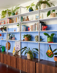 Modular Shelving Units - Aluminum Shelves and Wood Cabinets