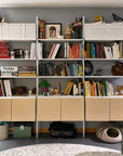 Modular Shelving Units - Aluminum Shelves and Wood Cabinets