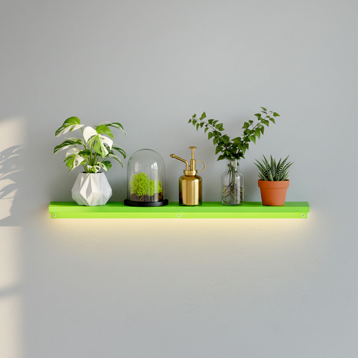 Collection Image