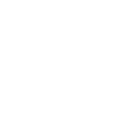 Modern Shelving Values Icon